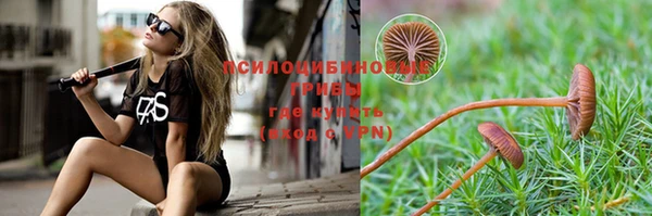 прущие крисы Беломорск