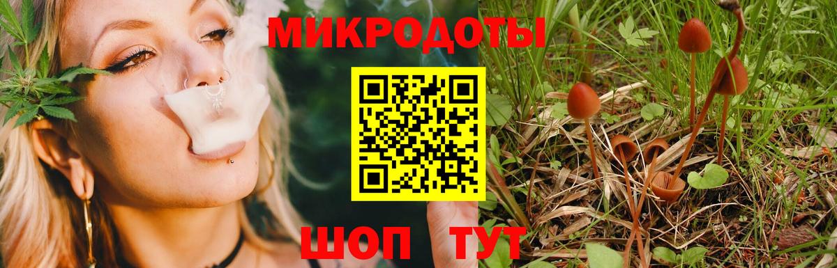Псилоцибиновые грибы GOLDEN TEACHER Горно-Алтайск