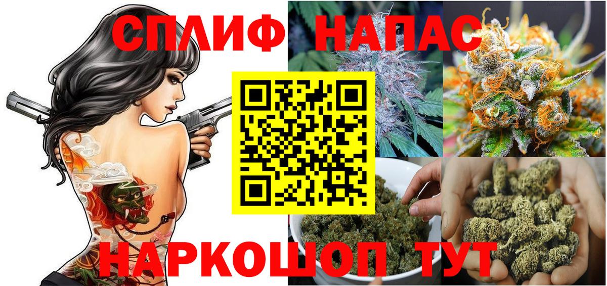 Канабис SATIVA & INDICA Горно-Алтайск
